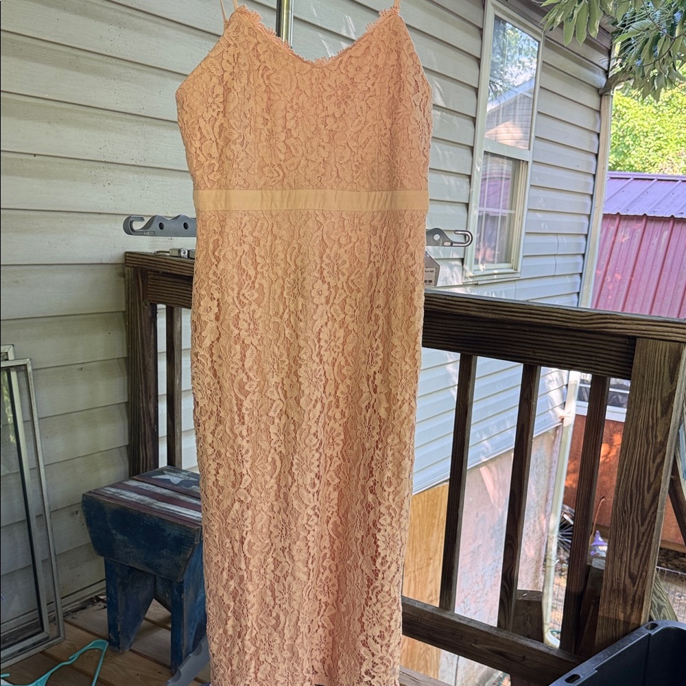 NWT Nordstrom’s blush pink lined large Alonson Lace spaghetti straps 38” long